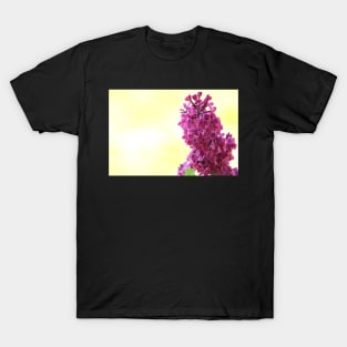 Purple lilac branch close up, flower photography T-Shirt